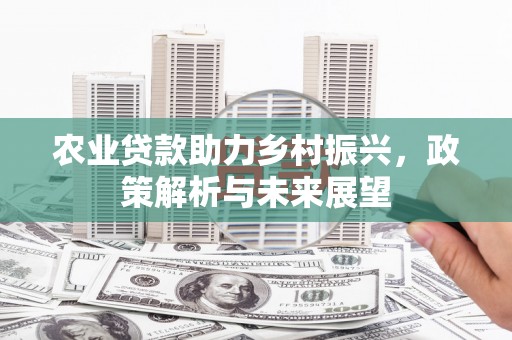 汉源农业贷款助力乡村振兴，政策解析与未来展望