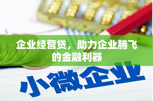 汉源企业经营贷，助力企业腾飞的金融利器
