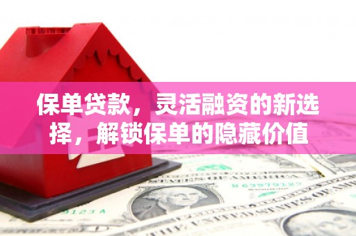 汉源保单贷款，灵活融资的新选择，解锁保单的隐藏价值