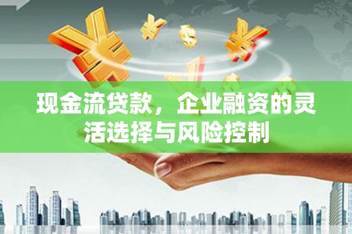 汉源现金流贷款，企业融资的灵活选择与风险控制