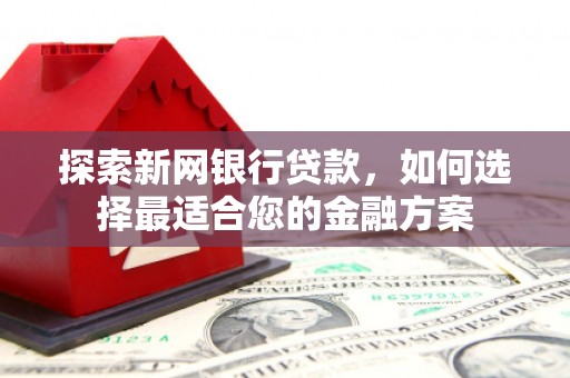 汉源探索新网银行贷款，如何选择最适合您的金融方案