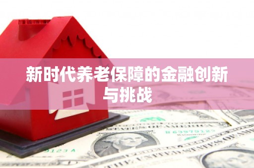 汉源新时代养老保障的金融创新与挑战