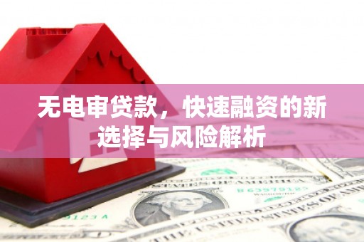 汉源无电审贷款，快速融资的新选择与风险解析