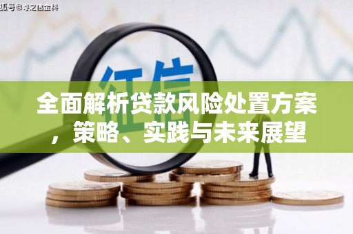 汉源全面解析贷款风险处置方案，策略、实践与未来展望