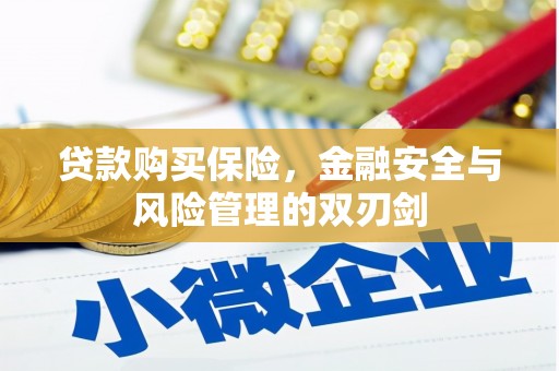 汉源贷款购买保险，金融安全与风险管理的双刃剑