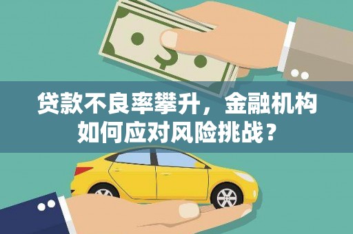 汉源贷款不良率攀升，金融机构如何应对风险挑战？
