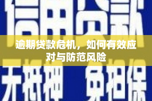 汉源逾期贷款危机，如何有效应对与防范风险