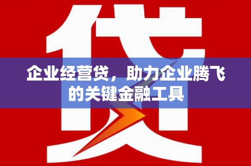 汉源企业经营贷，助力企业腾飞的关键金融工具