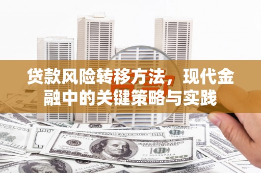 汉源贷款风险转移方法，现代金融中的关键策略与实践