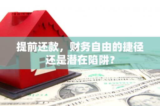 汉源提前还款，财务自由的捷径还是潜在陷阱？