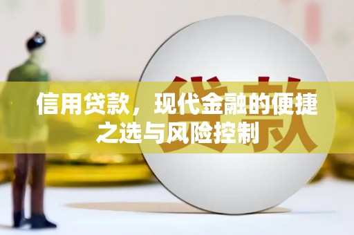 汉源信用贷款，现代金融的便捷之选与风险控制