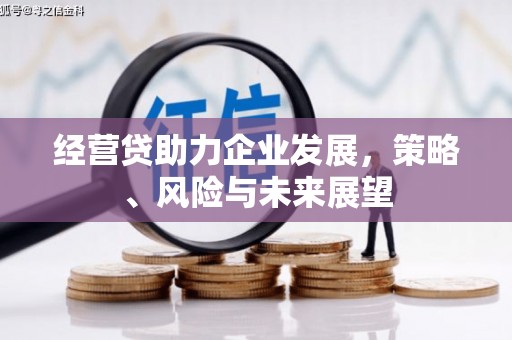 汉源经营贷助力企业发展，策略、风险与未来展望