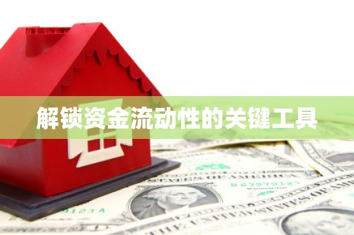 汉源解锁资金流动性的关键工具