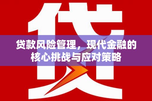 汉源贷款风险管理，现代金融的核心挑战与应对策略