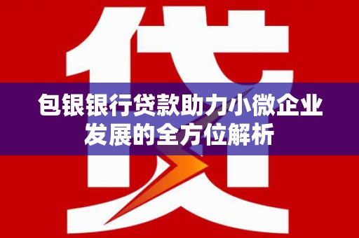 汉源包银银行贷款助力小微企业发展的全方位解析 汉源包银银行贷款助力小微企业发展的全方位解析