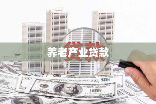 汉源养老产业贷款