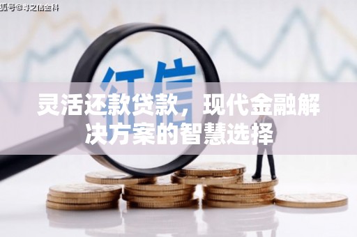 汉源灵活还款贷款，现代金融解决方案的智慧选择