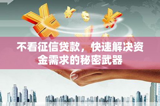 汉源不看征信贷款，快速解决资金需求的秘密武器