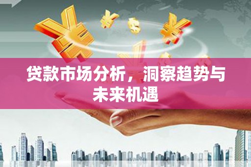 汉源贷款市场分析，洞察趋势与未来机遇