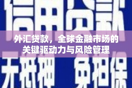 汉源外汇贷款，全球金融市场的关键驱动力与风险管理