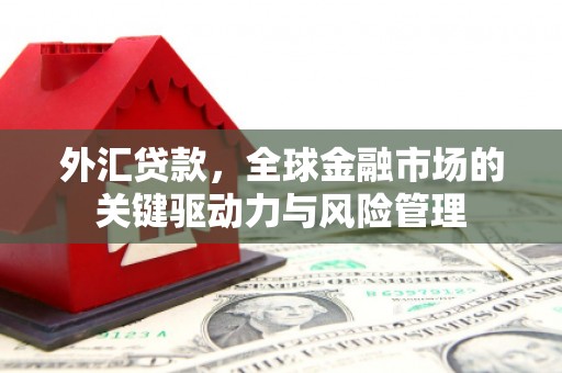 汉源外汇贷款，全球金融市场的关键驱动力与风险管理