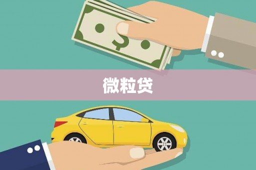 汉源微粒贷