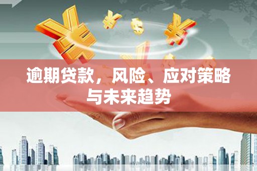 汉源逾期贷款，风险、应对策略与未来趋势