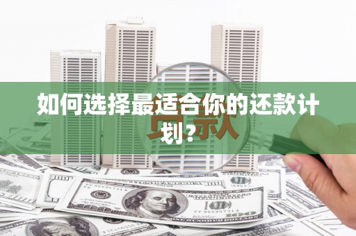 汉源如何选择最适合你的还款计划？