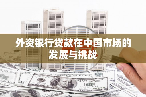 汉源外资银行贷款在中国市场的发展与挑战