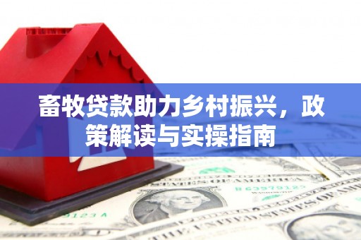 汉源畜牧贷款助力乡村振兴，政策解读与实操指南