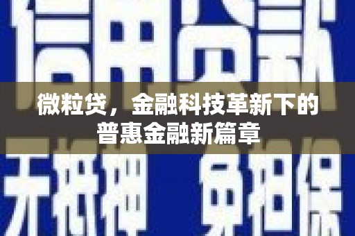 汉源微粒贷，金融科技革新下的普惠金融新篇章
