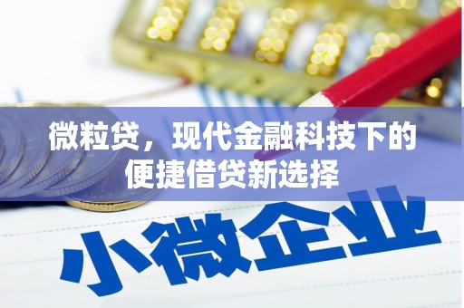 汉源微粒贷，现代金融科技下的便捷借贷新选择