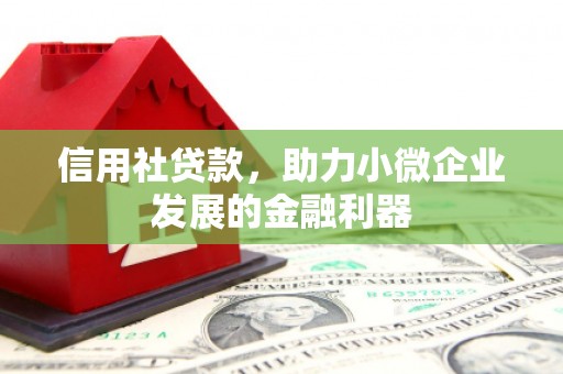 汉源信用社贷款，助力小微企业发展的金融利器