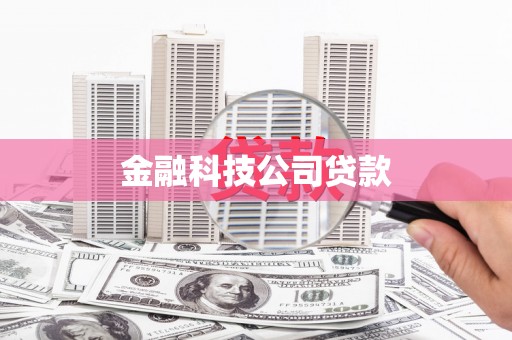 汉源金融科技公司贷款