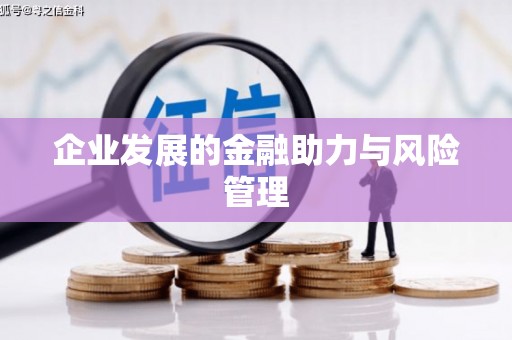 汉源企业发展的金融助力与风险管理