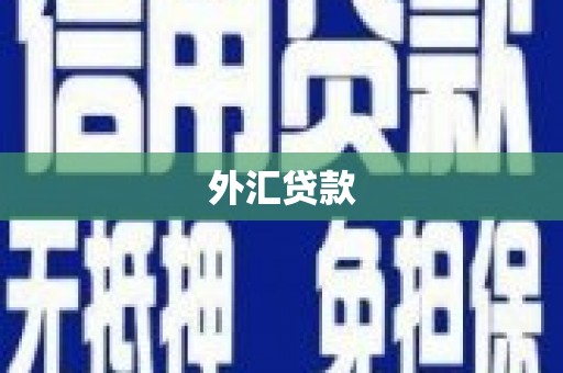 汉源外汇贷款