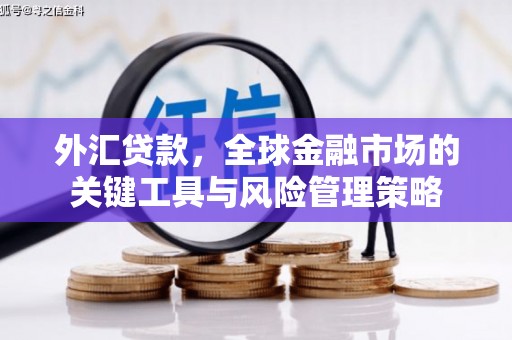 汉源外汇贷款，全球金融市场的关键工具与风险管理策略