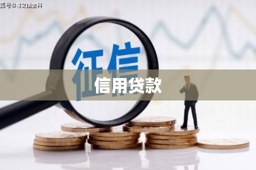汉源信用贷款