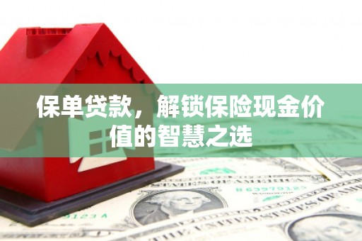 汉源保单贷款，解锁保险现金价值的智慧之选