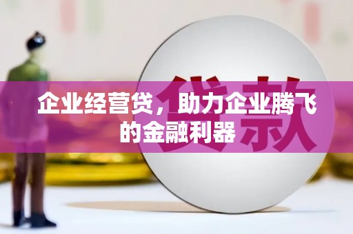 汉源企业经营贷，助力企业腾飞的金融利器