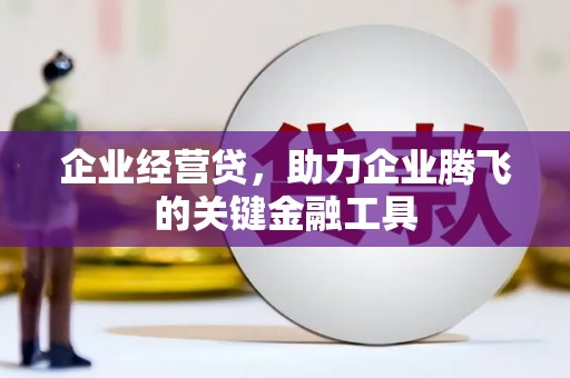 汉源企业经营贷，助力企业腾飞的关键金融工具