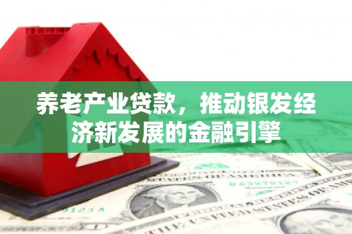 汉源养老产业贷款，推动银发经济新发展的金融引擎