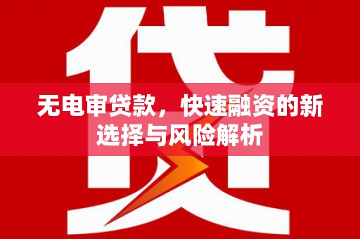 汉源无电审贷款，快速融资的新选择与风险解析