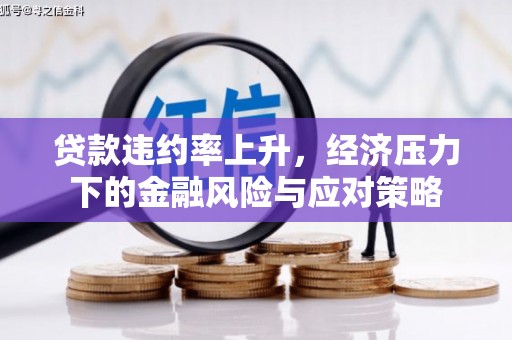 汉源贷款违约率上升，经济压力下的金融风险与应对策略