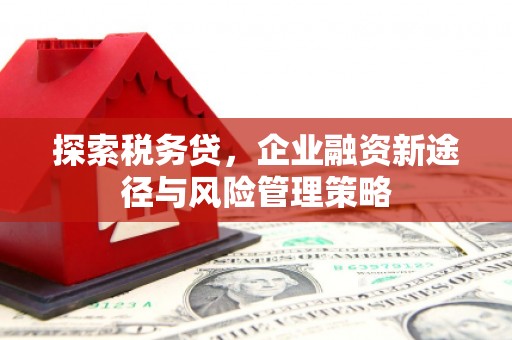 汉源探索税务贷，企业融资新途径与风险管理策略