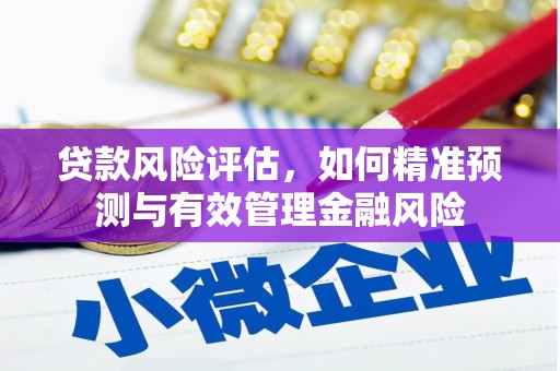 汉源贷款风险评估，如何精准预测与有效管理金融风险