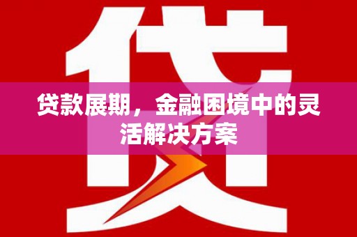 汉源贷款展期，金融困境中的灵活解决方案
