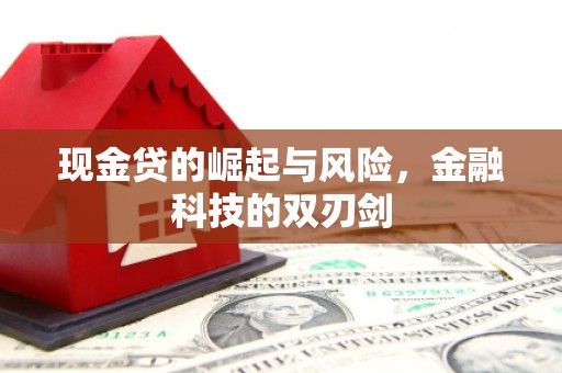 汉源现金贷的崛起与风险，金融科技的双刃剑