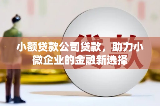 汉源小额贷款公司贷款，助力小微企业的金融新选择