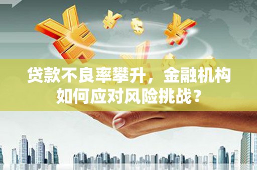 汉源贷款不良率攀升，金融机构如何应对风险挑战？